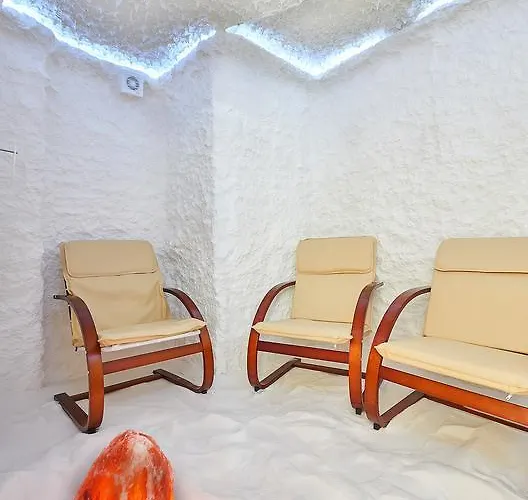 酒店 Petar And Pavel & Relax Center 3*